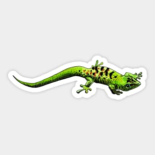 gecko Sticker